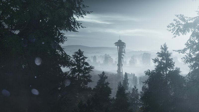 Seattle Skyline View