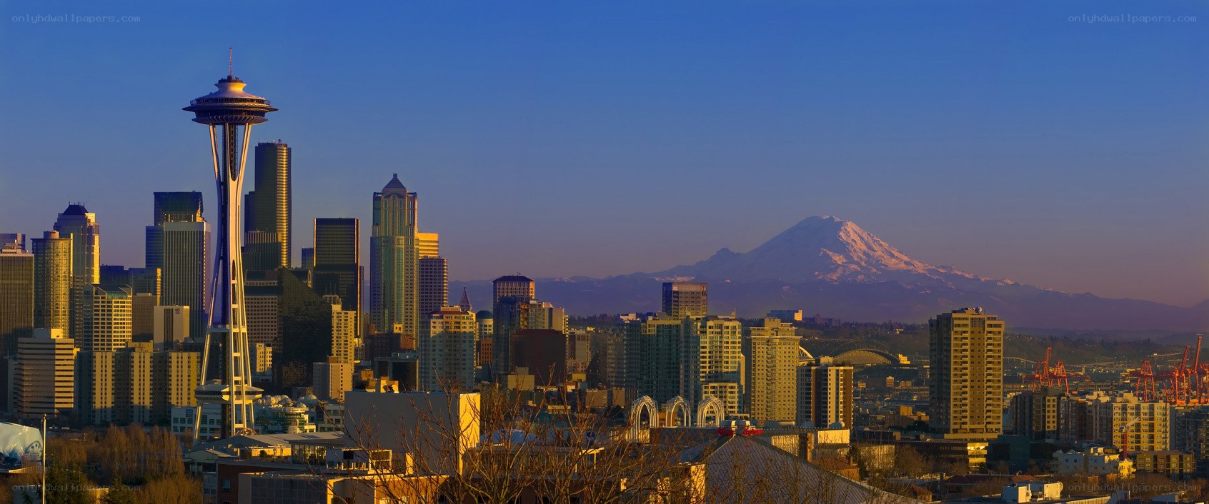 Seattle skyline with Mount Rainier