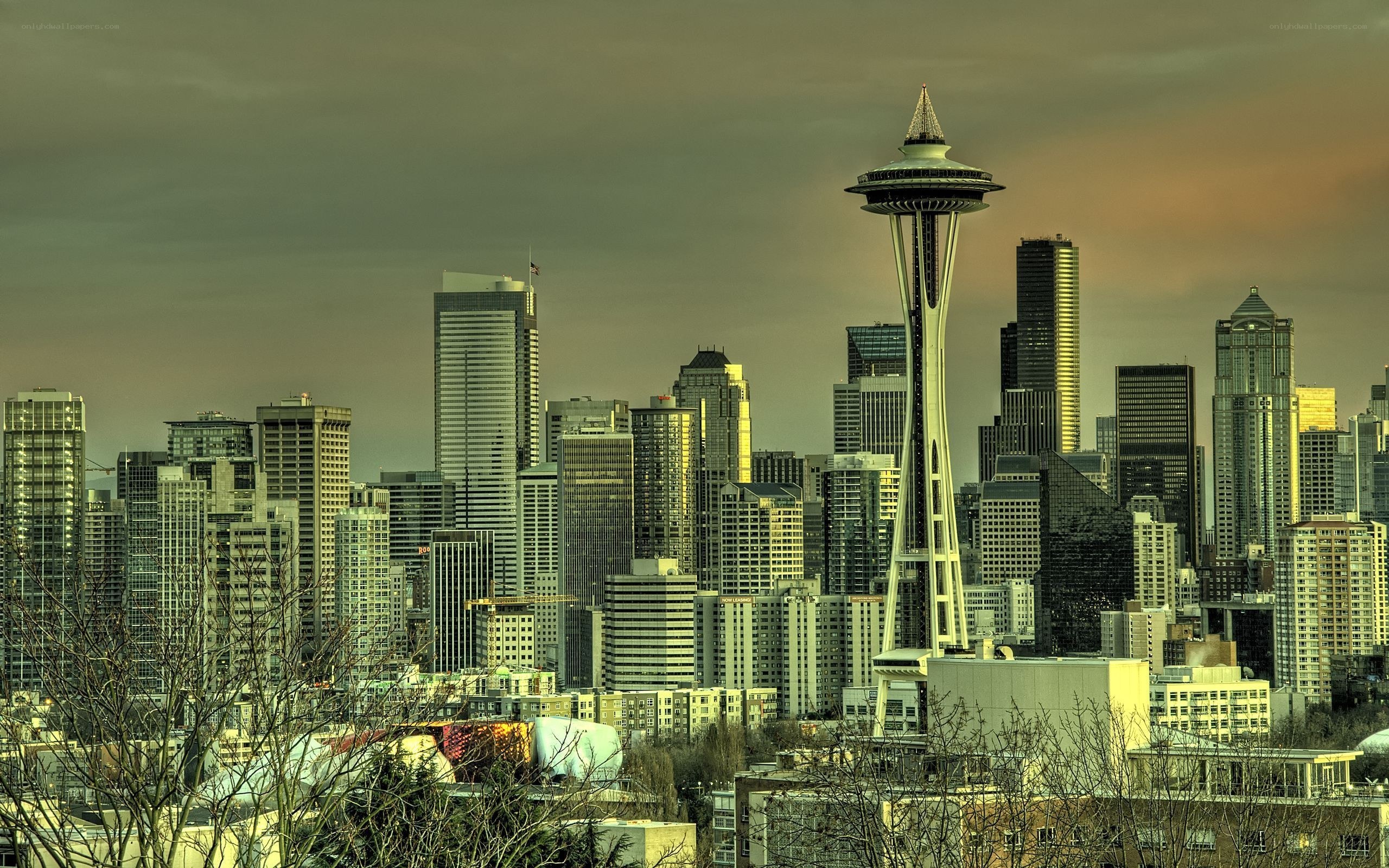 Seattle skyline with Space Needle