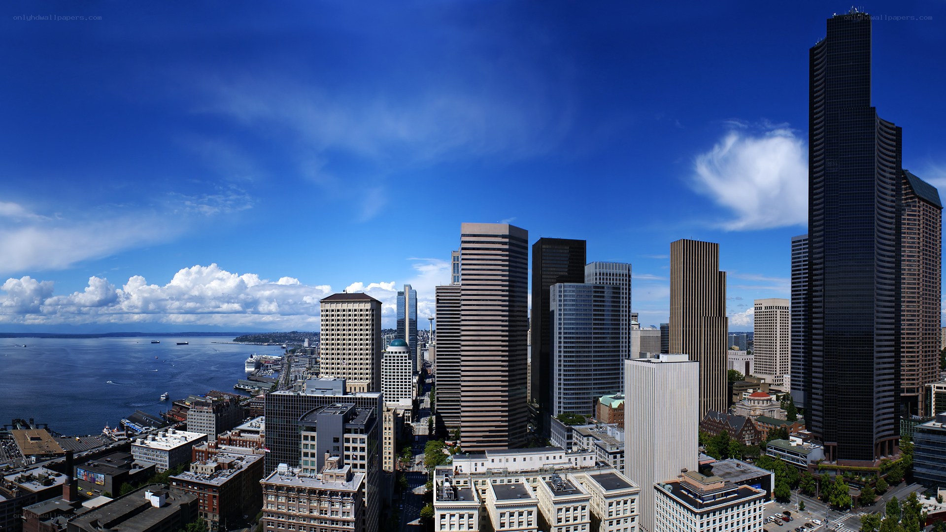 Seattle skyline with Space Needle
