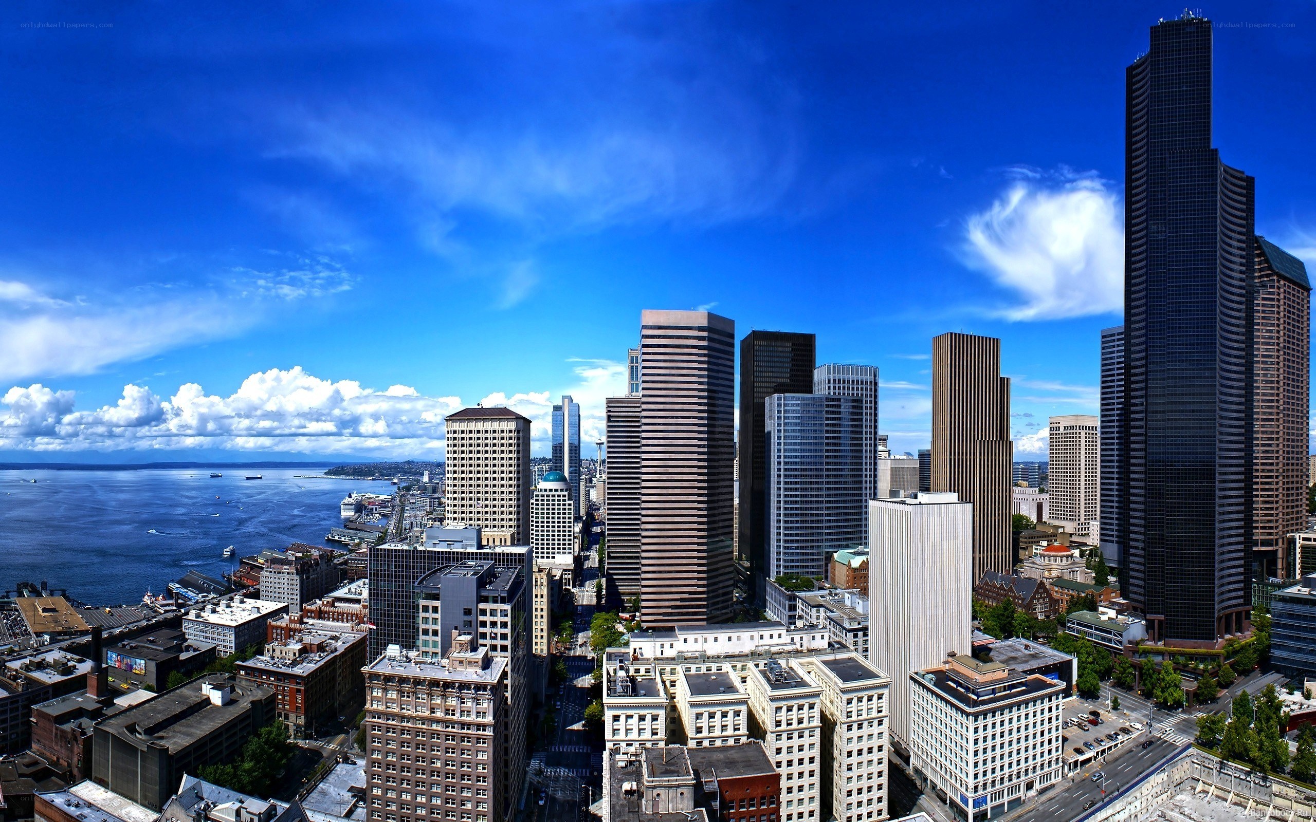 Seattle skyline with Space Needle