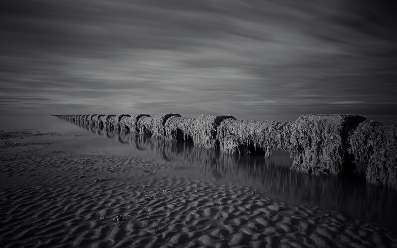 Seaweed-covered breakwater at low tide