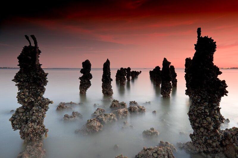 Seaweed-covered pillars at sunset
