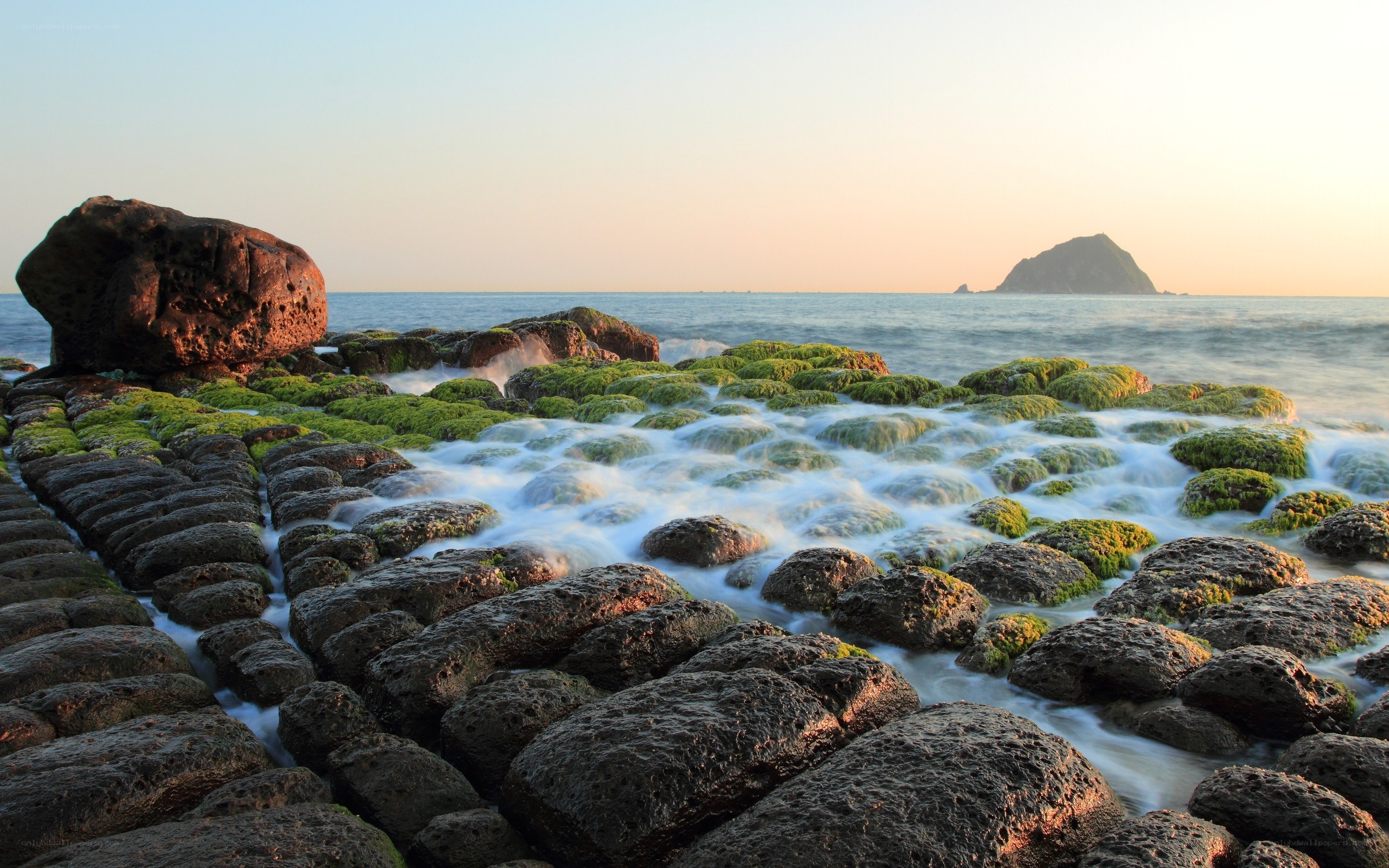 Seaweed-covered rocks at sunset