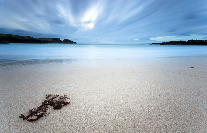 Seaweed on Sandy Beach
