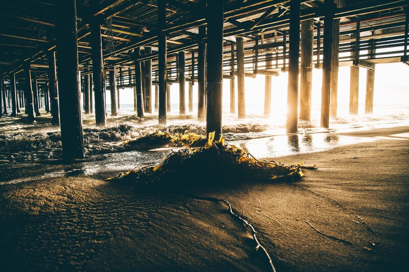 Seaweed under Pier