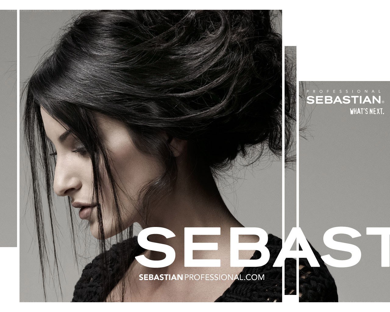 Sebastian Professional ad