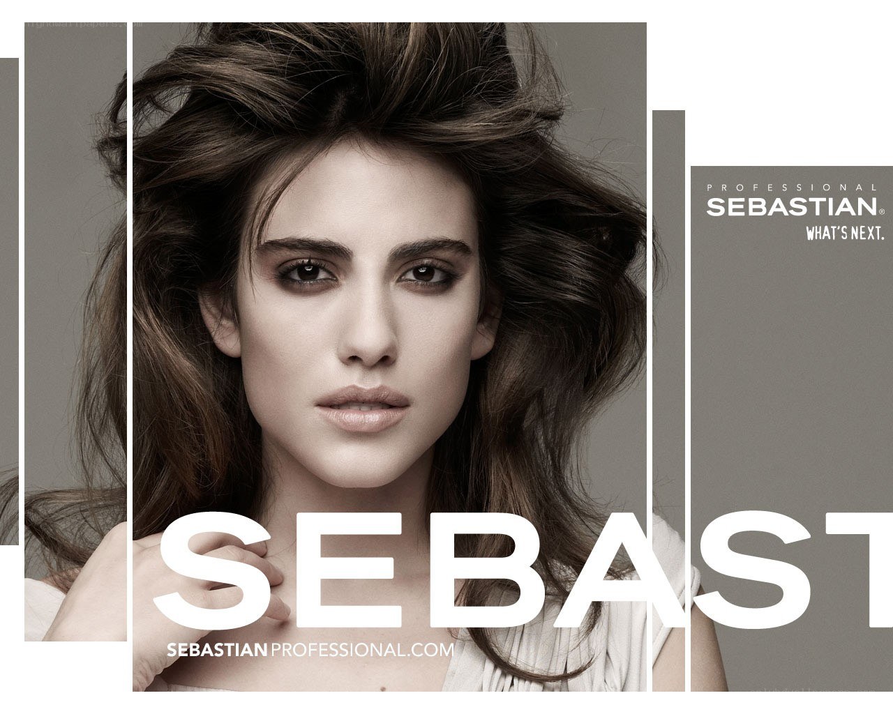 Sebastian Professional Ad