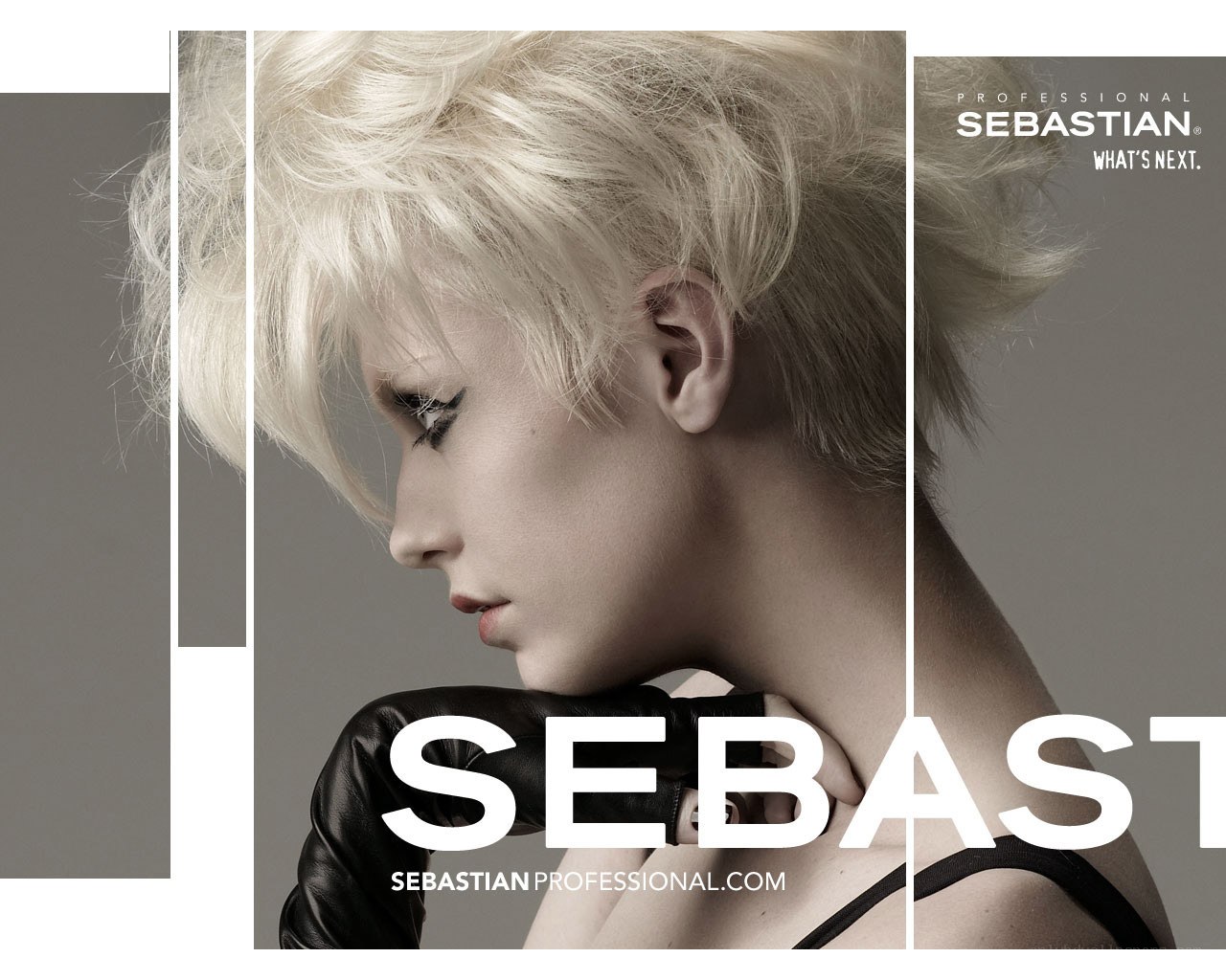 Sebastian Professional Ad
