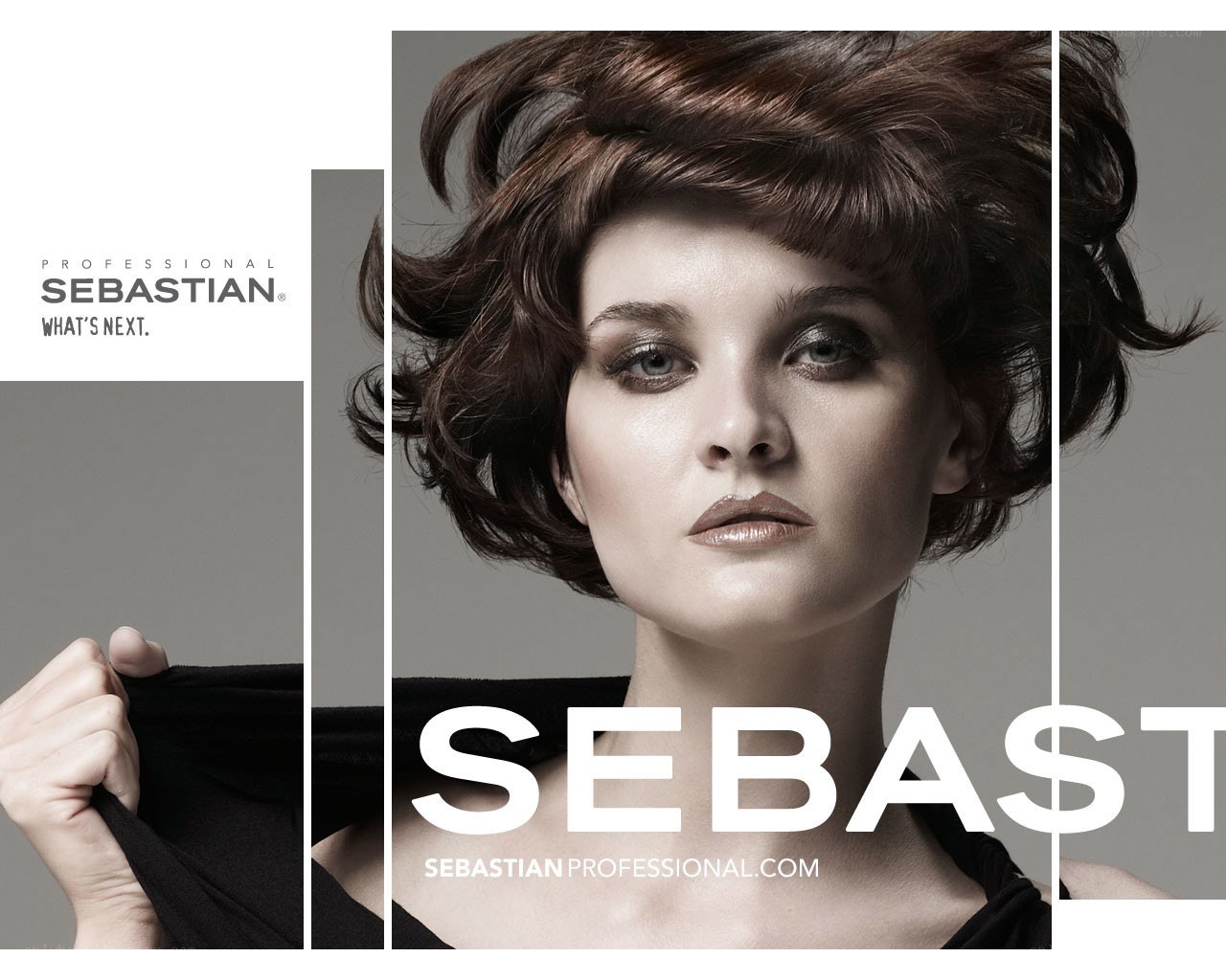 Sebastian Professional advertisement