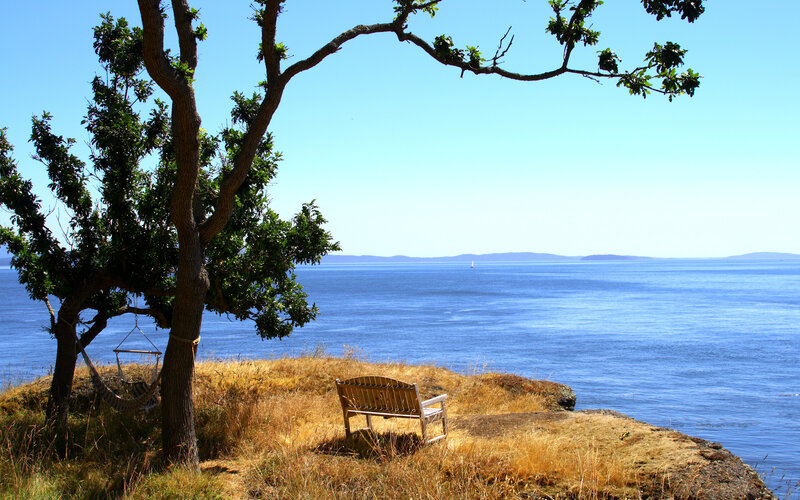 Secluded bench by the sea