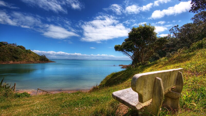 Secluded bench overlooking the bay