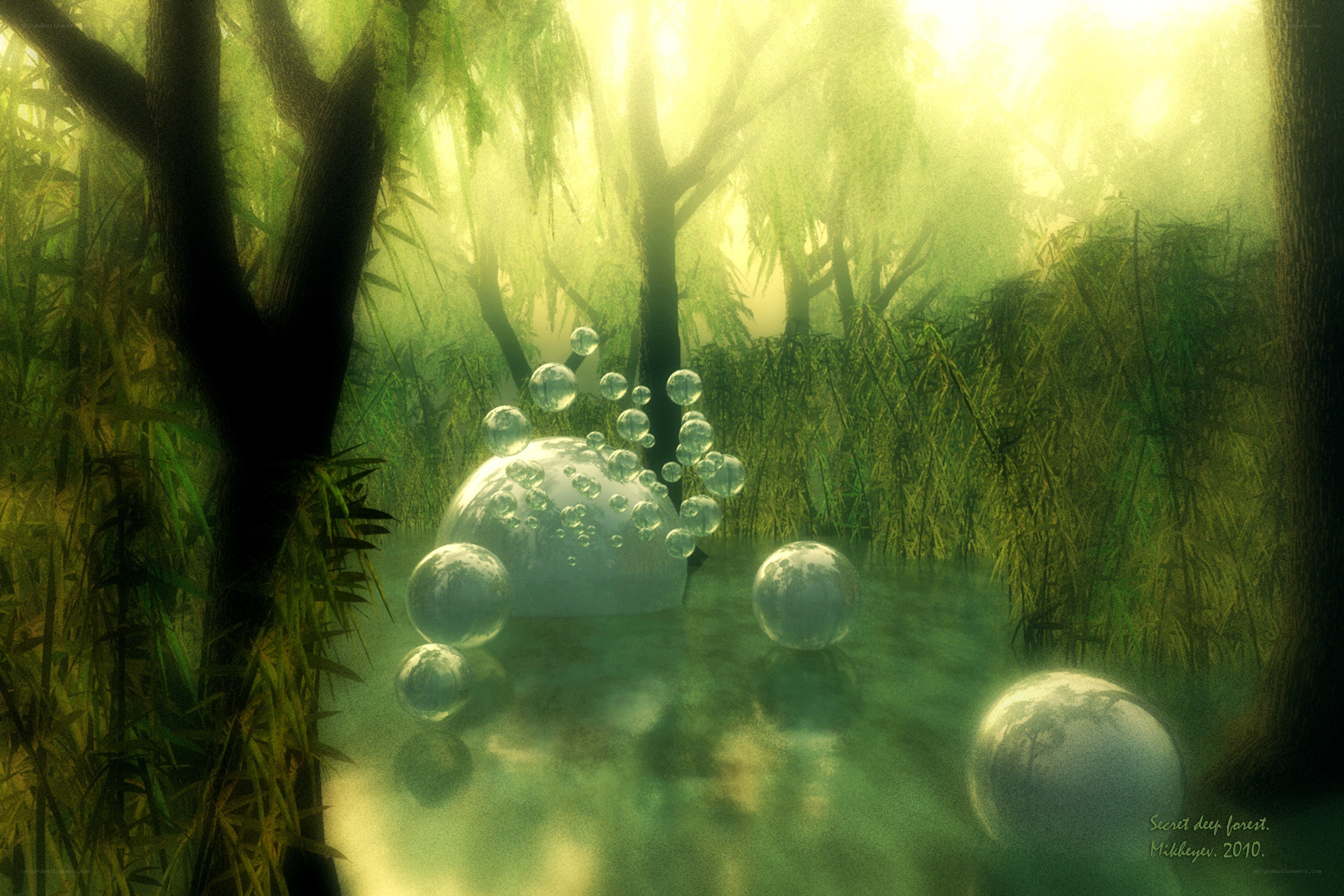 Secret deep forest