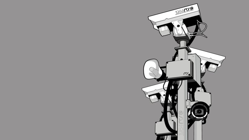 Security Camera Array — Gray, Neutral