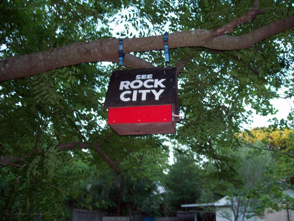 See Rock City sign hanging from tree