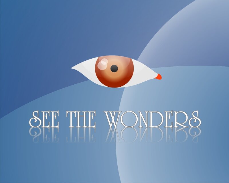 see the wonders