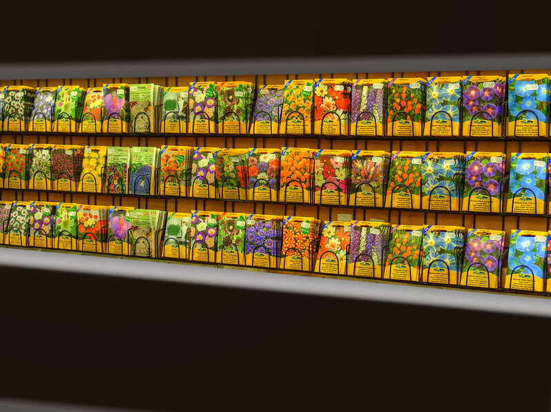 Seed Packets on Display