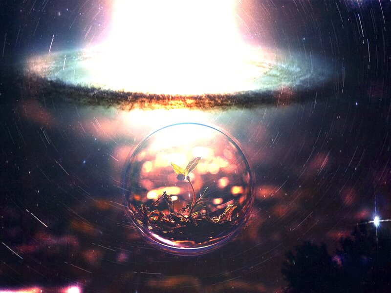 Seedling in Glass Sphere — Black