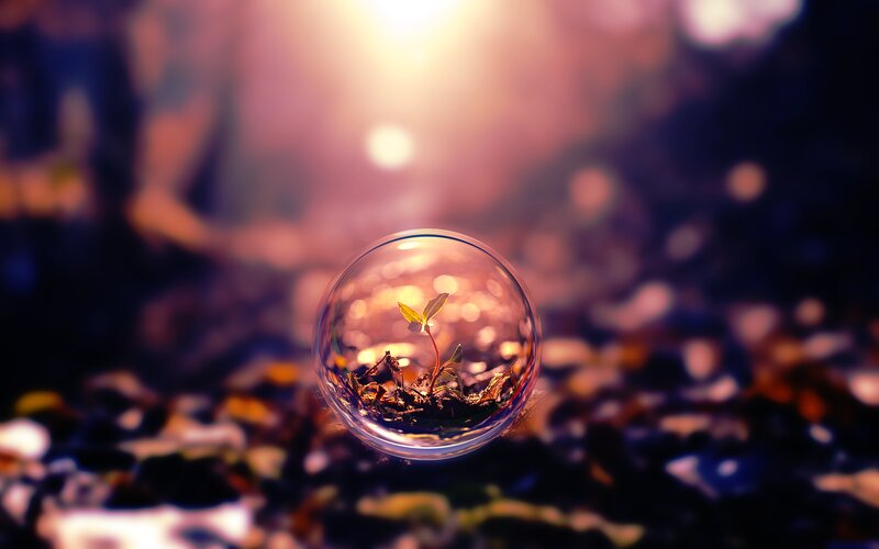 Seedling in Glass Sphere — Purple, Serene