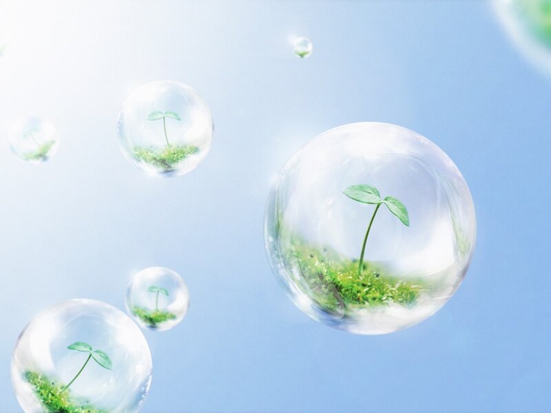 Seedlings in Bubbles