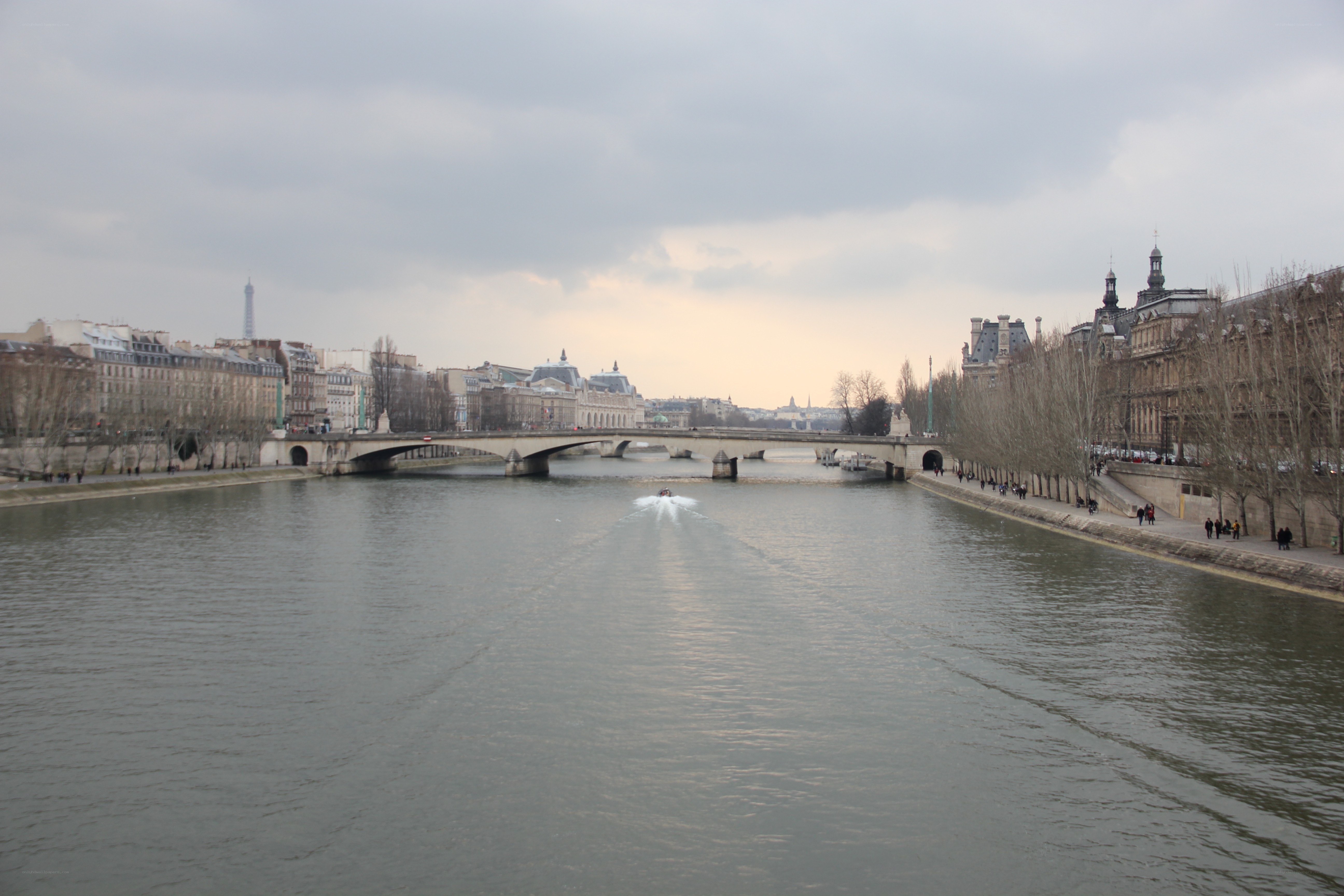 Seine River with bridge and Eiffel Tower
