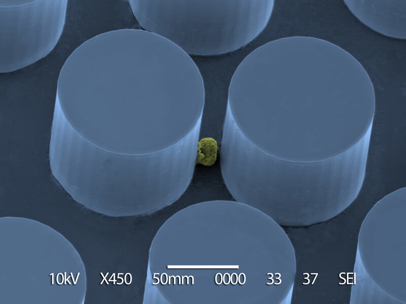 SEM image of microstructures