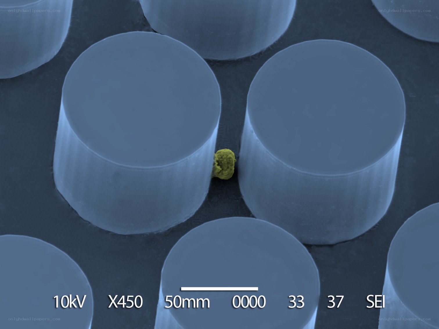 SEM image of microstructures