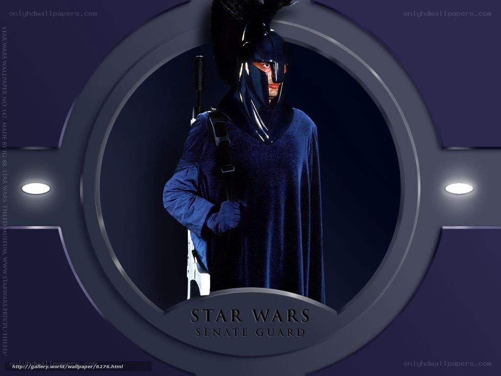 Senate Guard from Star Wars