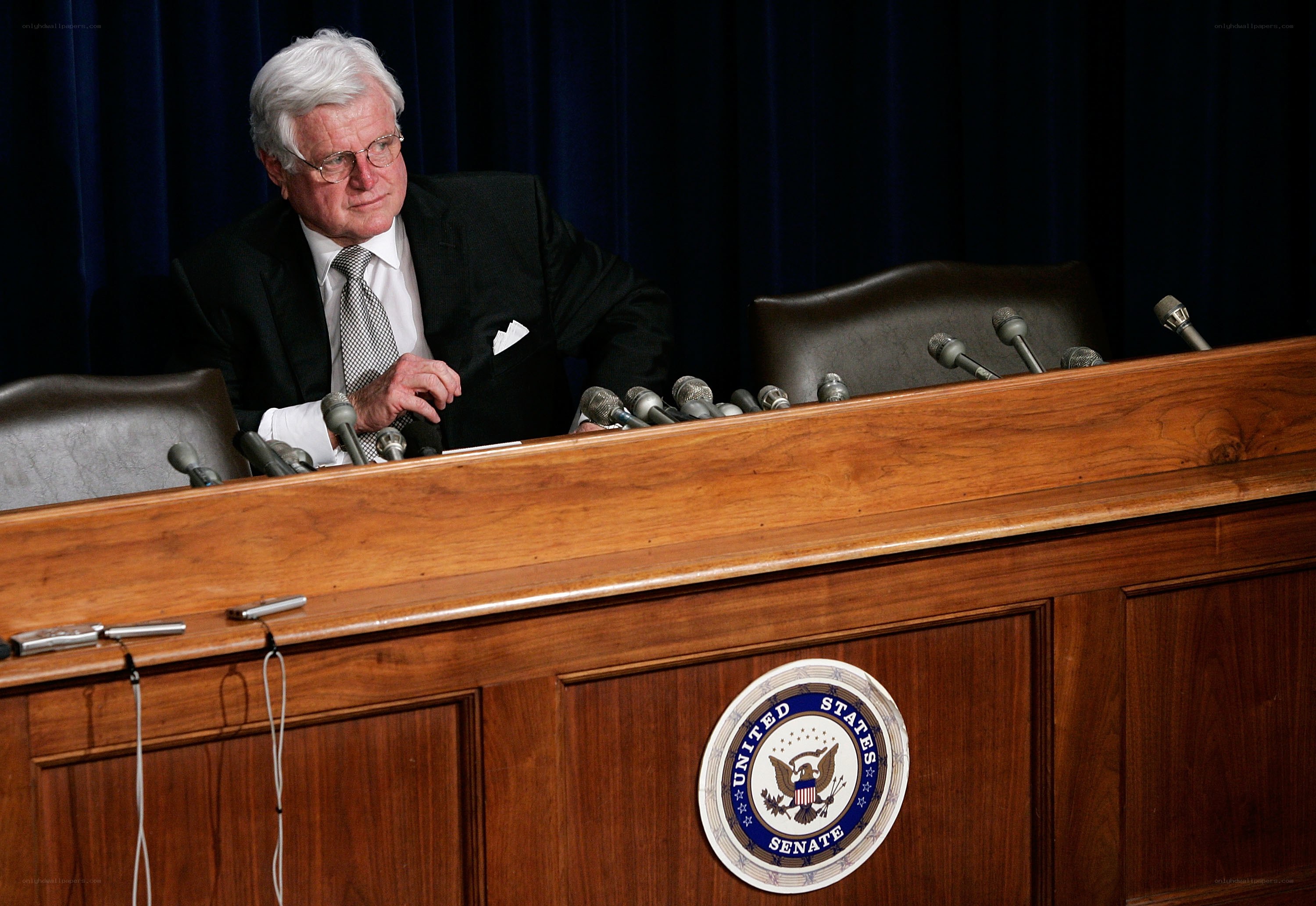 Senator at a press conference