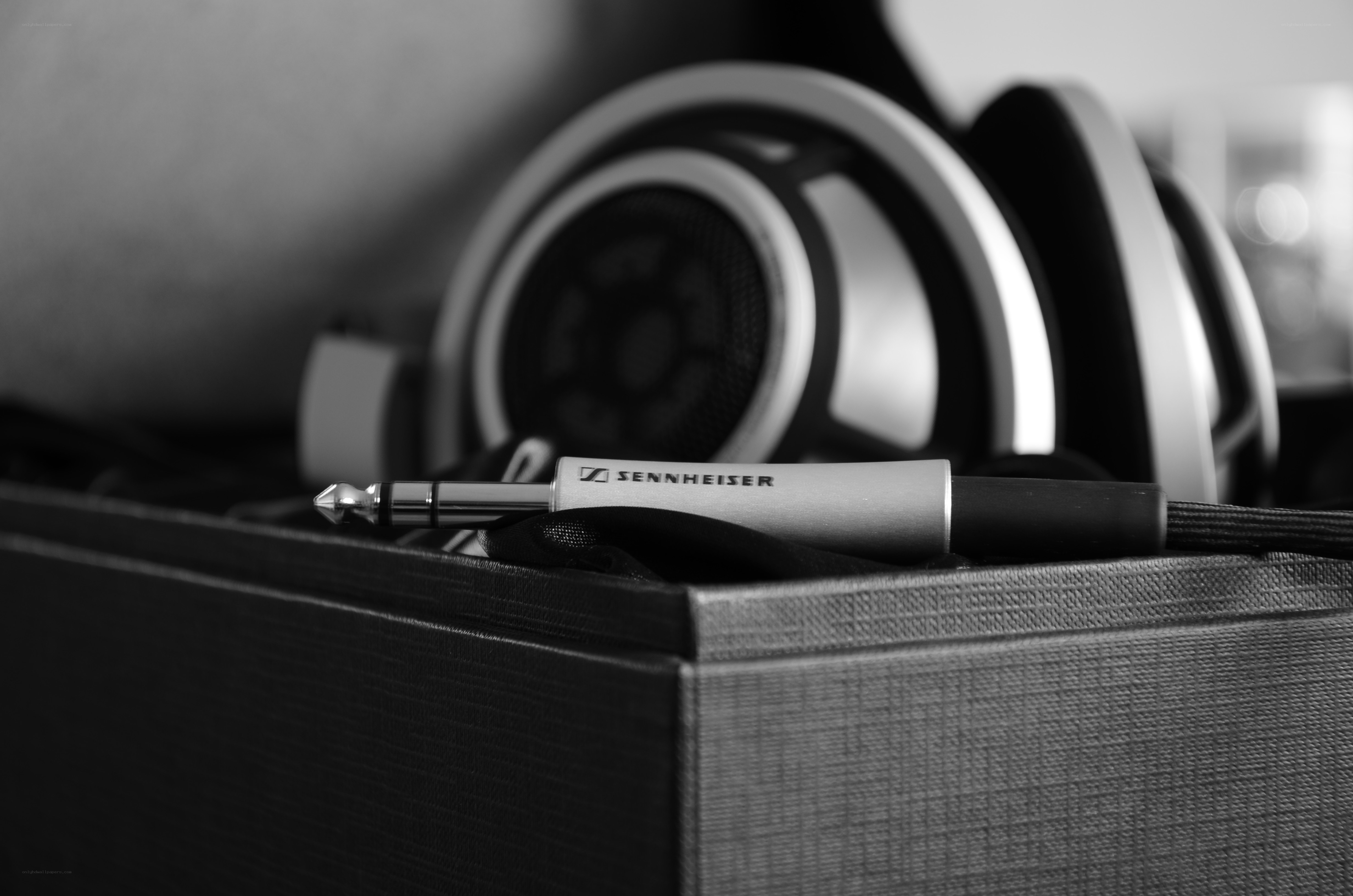 Sennheiser headphones and cable