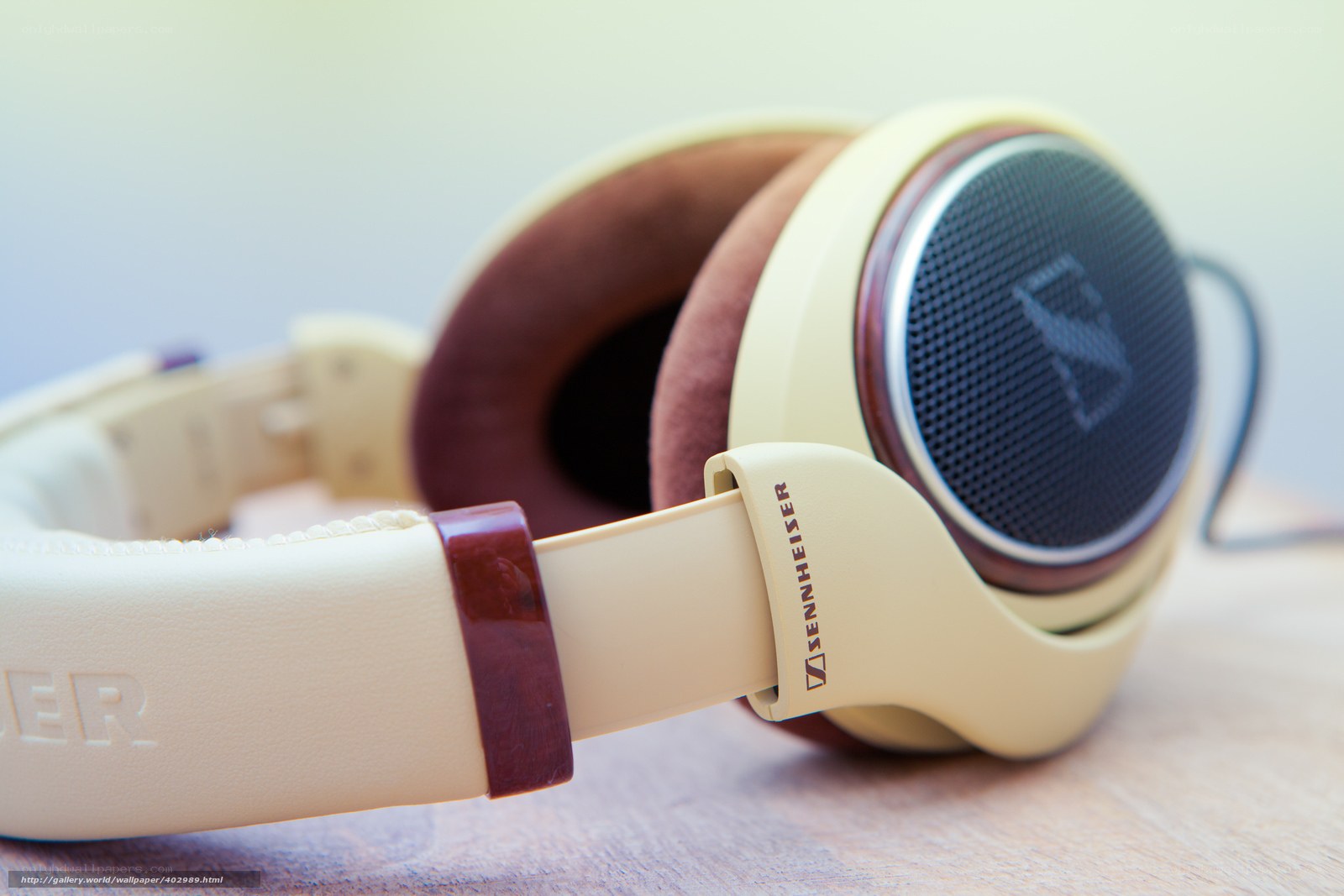 Sennheiser headphones on wood