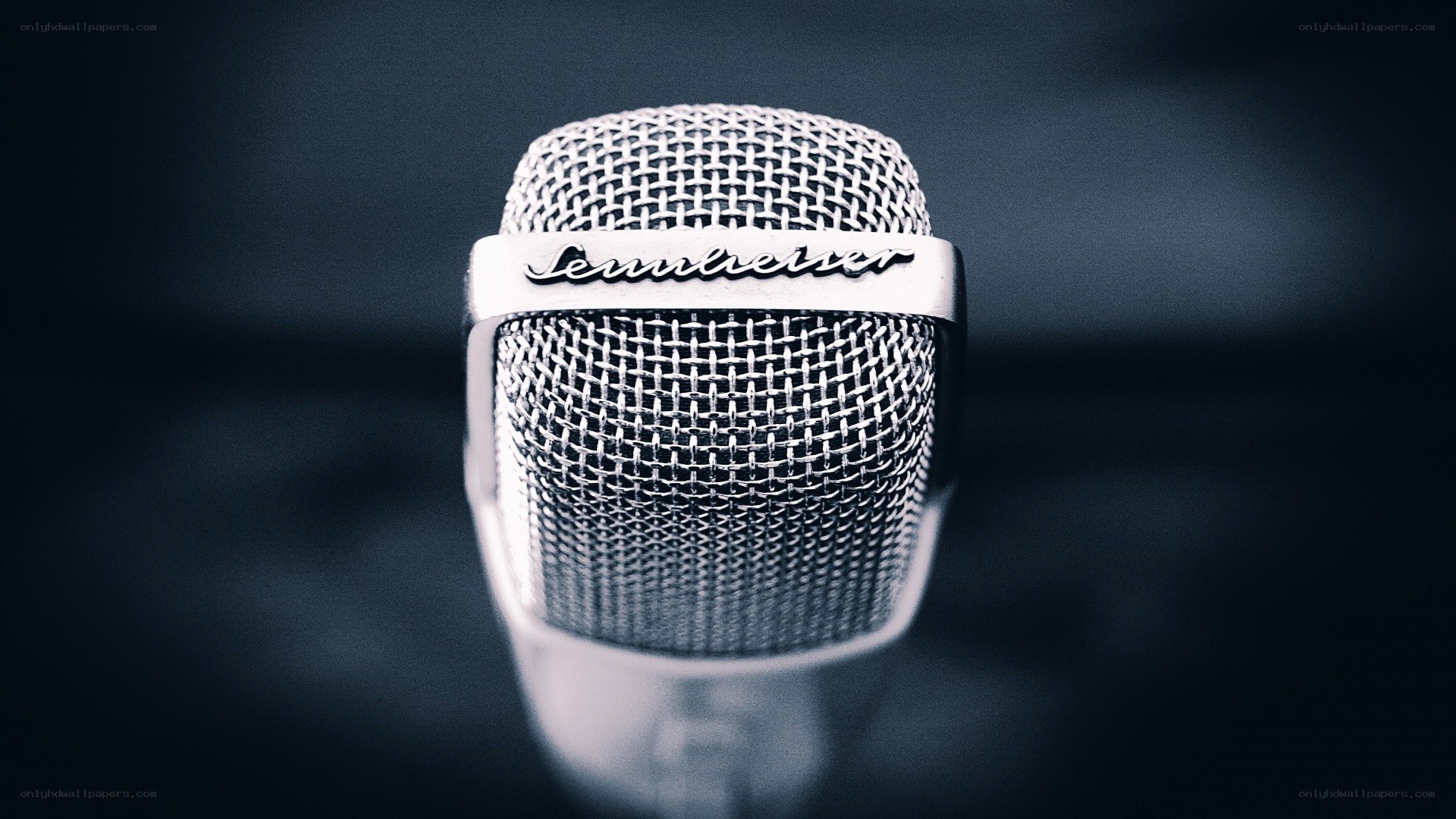 Sennheiser microphone close-up