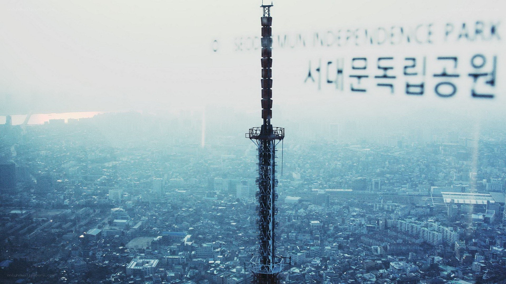 Seoul Tower view from window