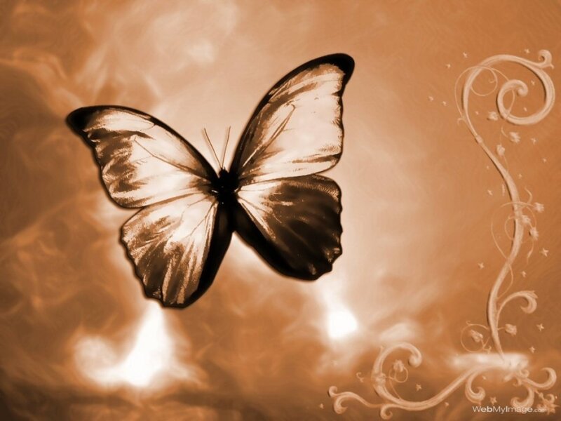 Sepia butterfly with floral swirls