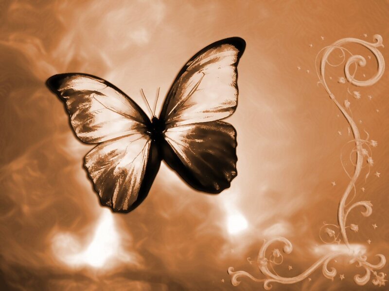 Sepia butterfly with ornate swirls
