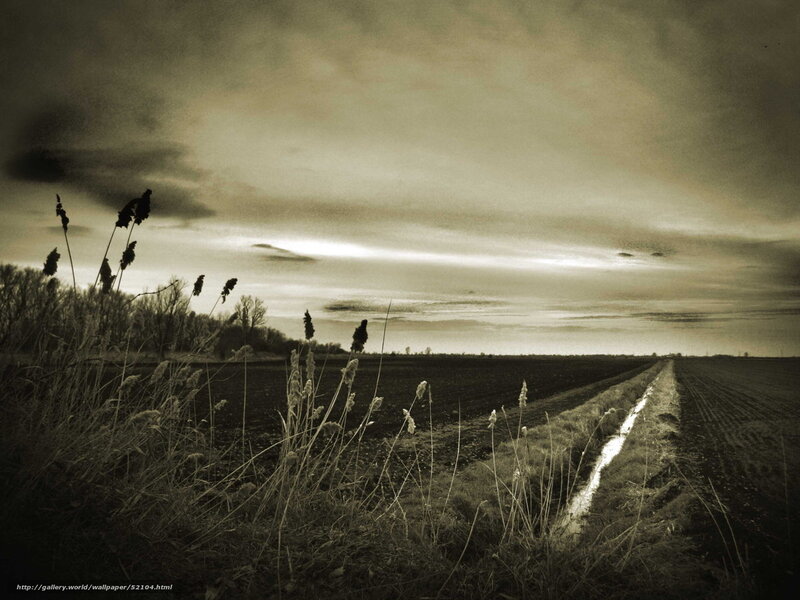 Sepia Field at Dusk