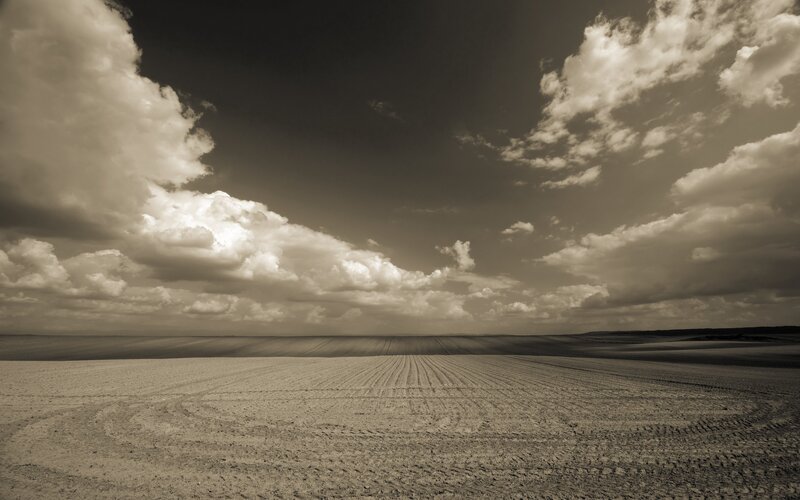 Sepia field under cloudy sky