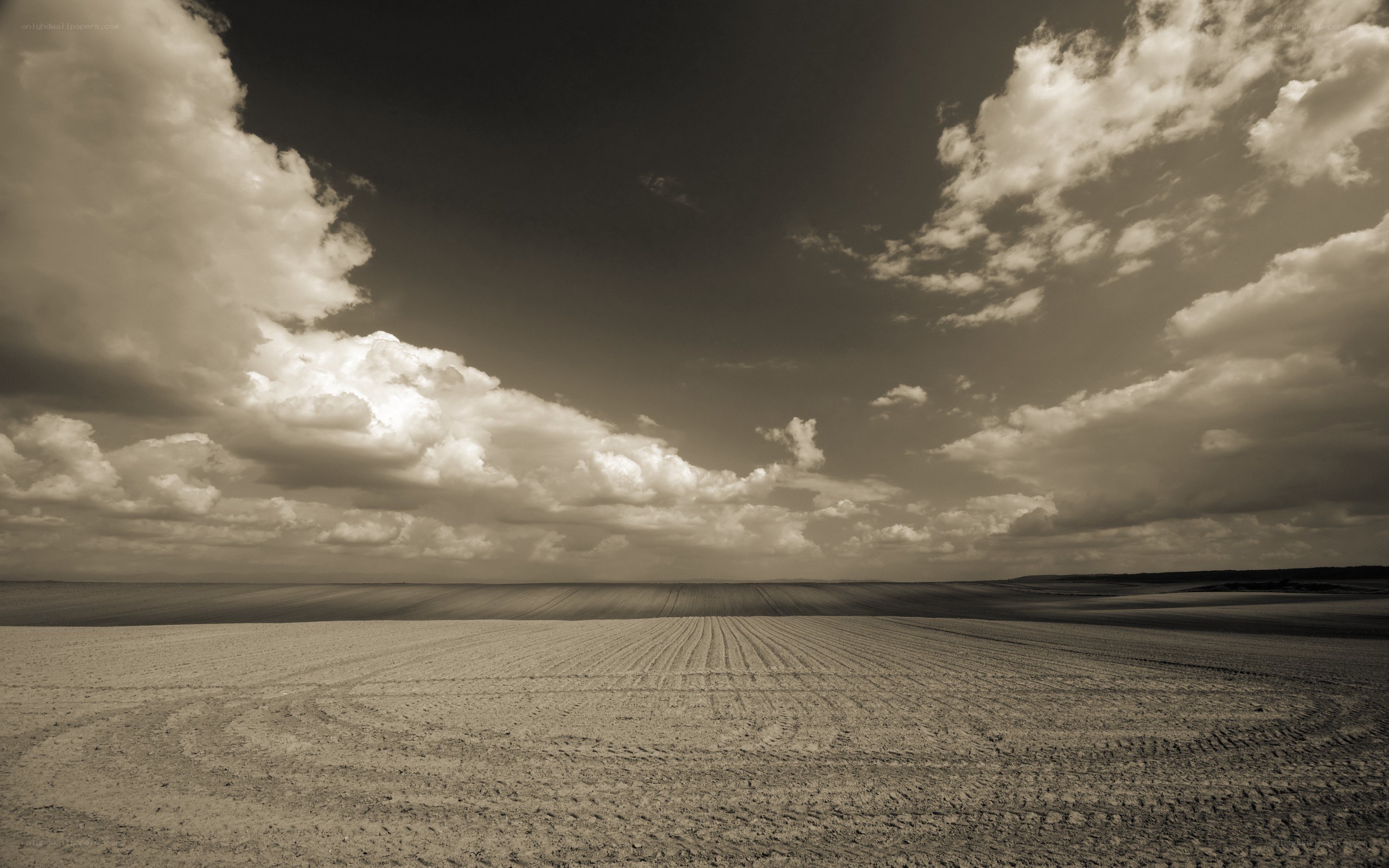 Sepia field under cloudy sky