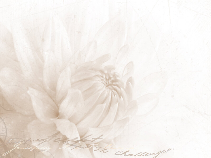 Sepia flower with script