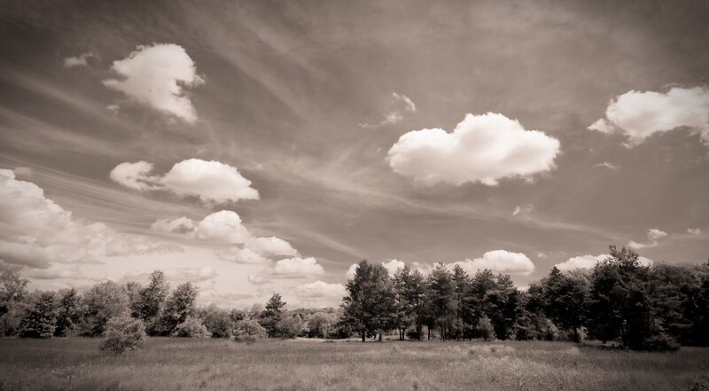 Sepia landscape with clouds