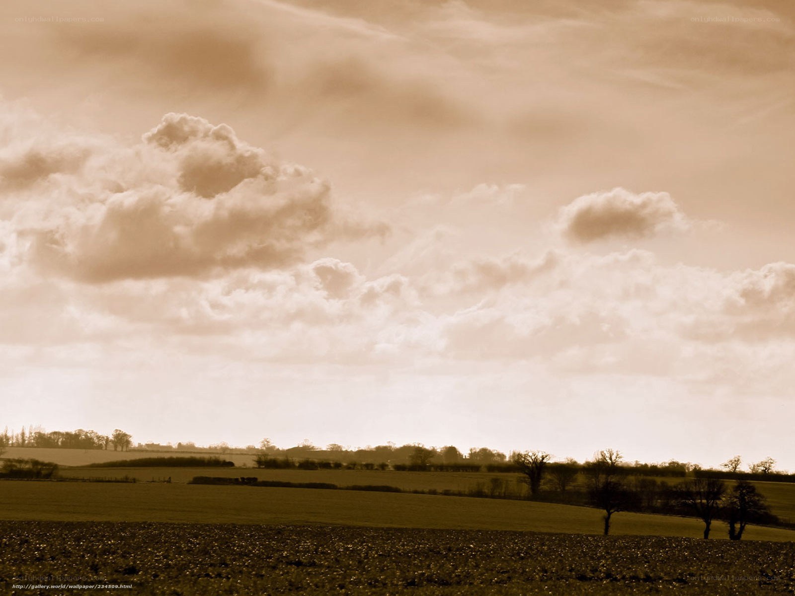 Sepia landscape with clouds