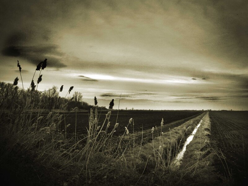 Sepia landscape with field and canal