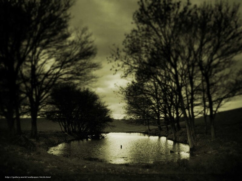 Sepia pond at dusk