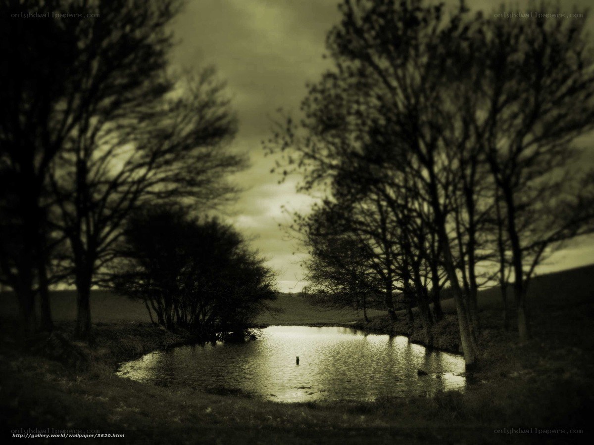 Sepia pond at dusk