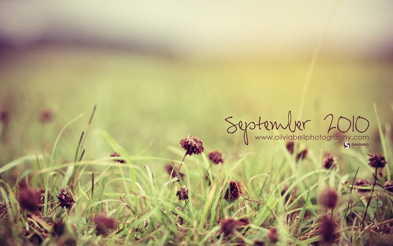 September 2010 grass field