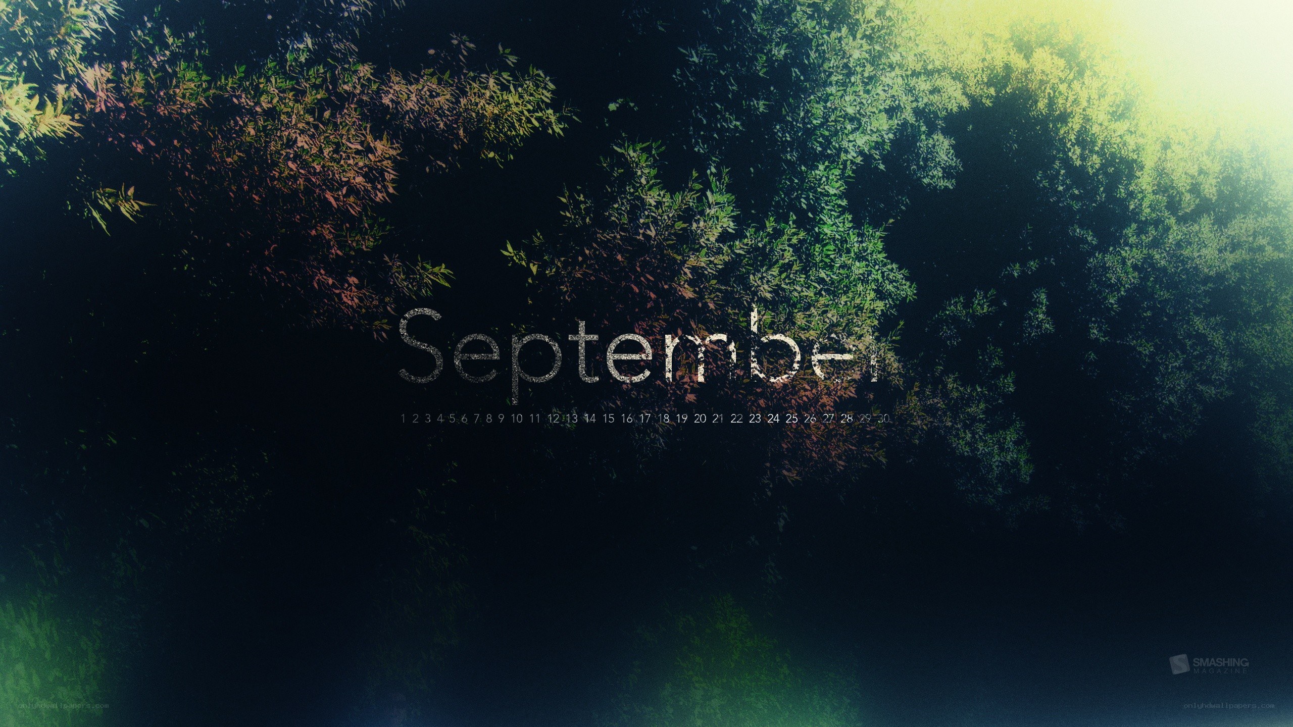 September calendar with forest view