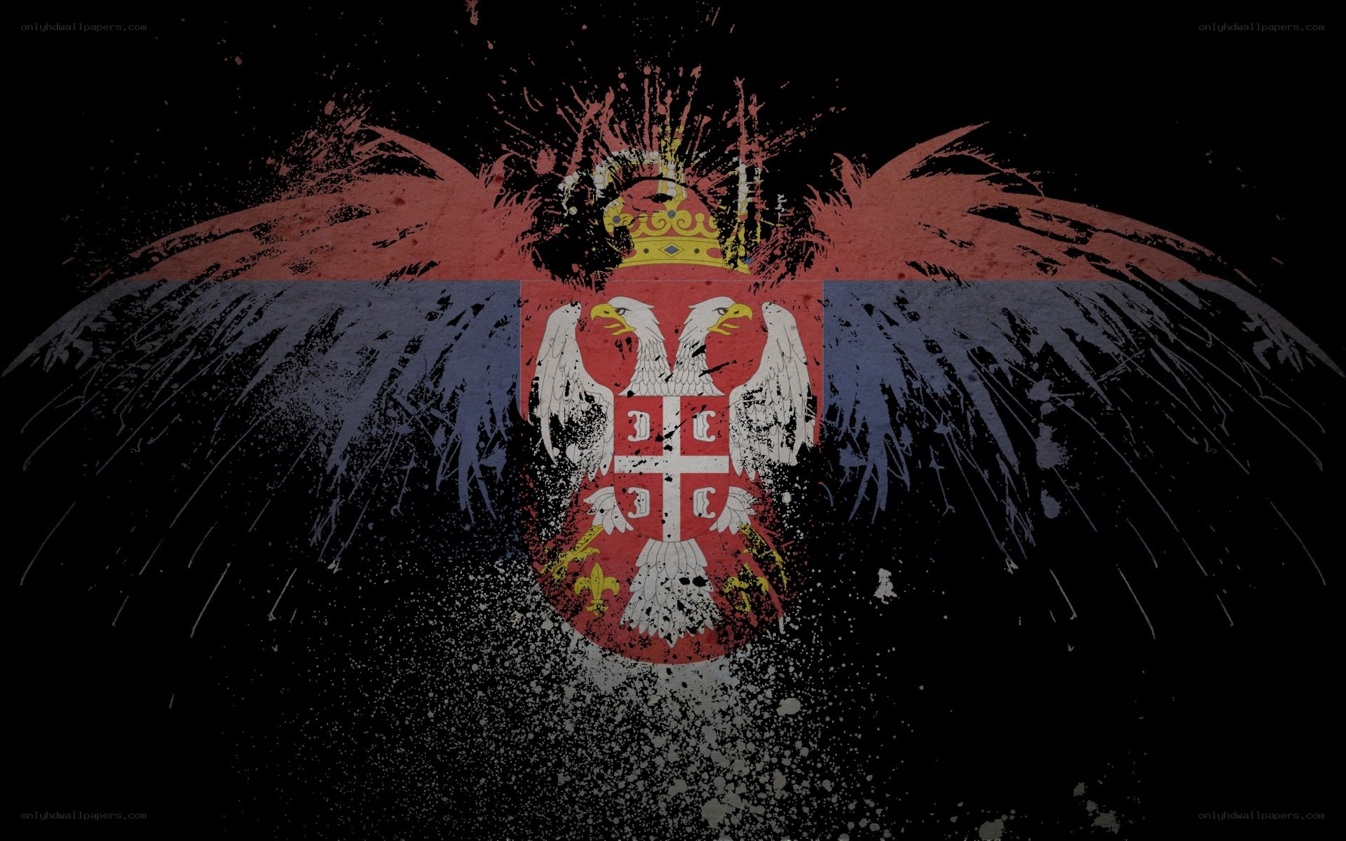 Serbian flag with griffin