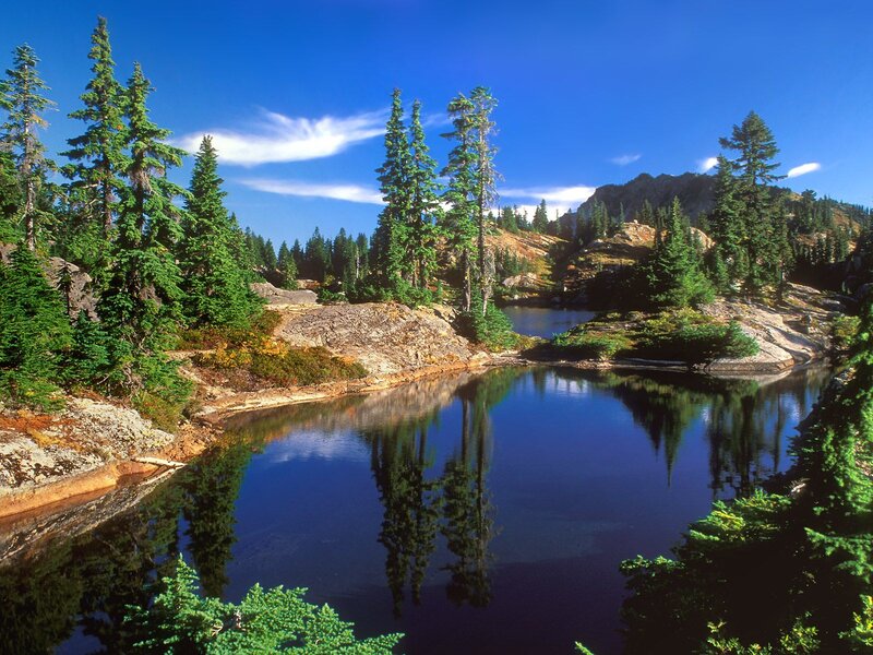serene alpine lake with tree reflections