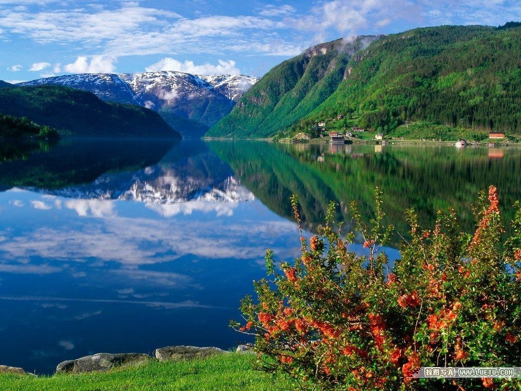 serene fjord landscape