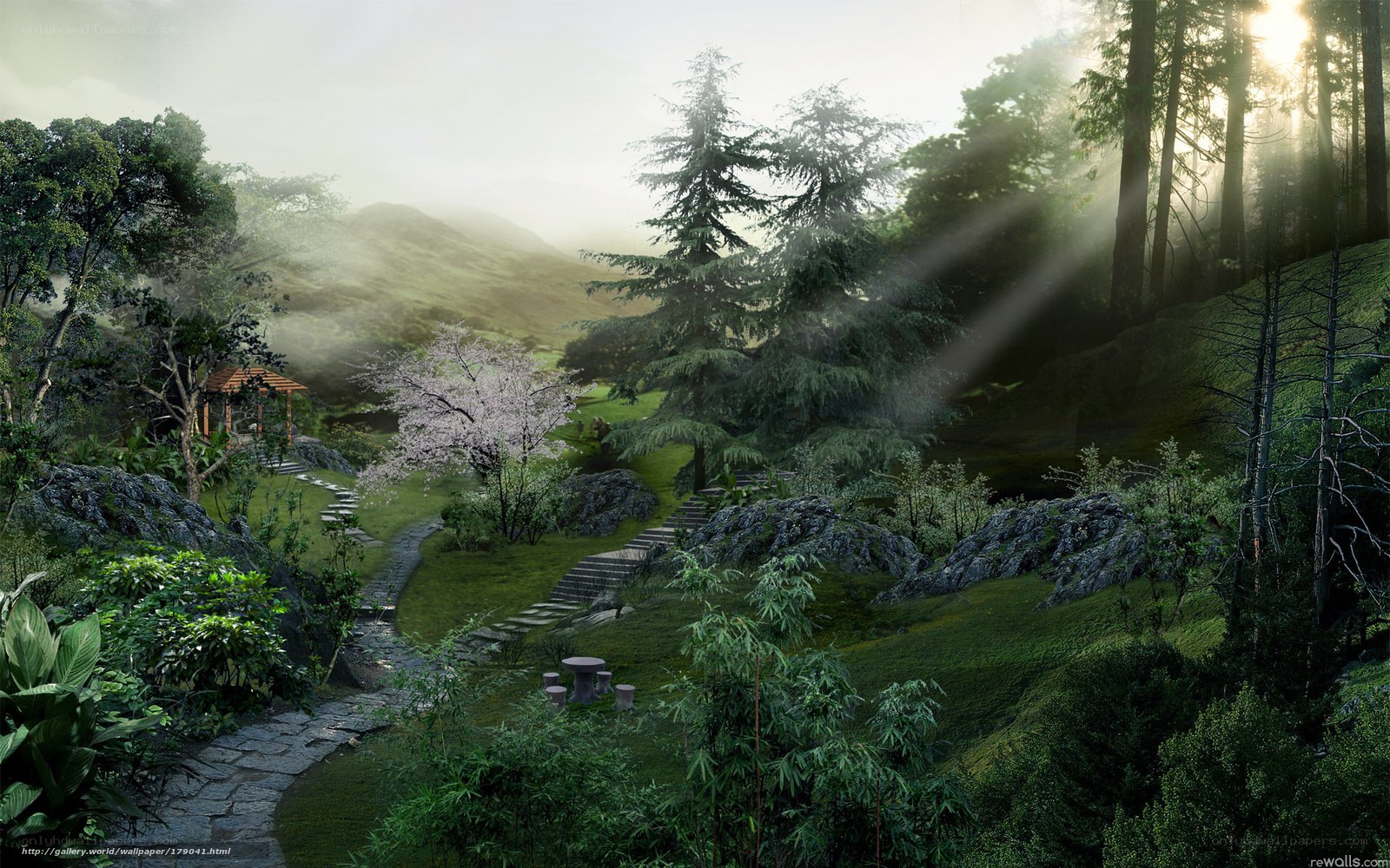 serene forest garden at dawn